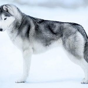 Meet your Posher, Nohemi